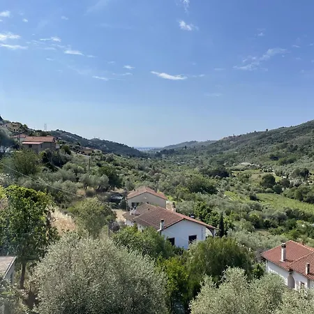 Daniela - Dol295 By Interhome * Costa Carnara