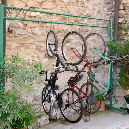 Daniela - Dol295 By Interhome